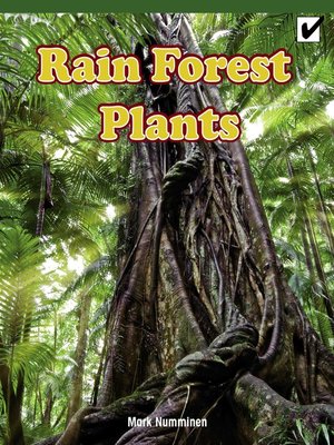 cover image of Rain Forest Plants